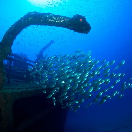 Baleira 4* Porto Santo