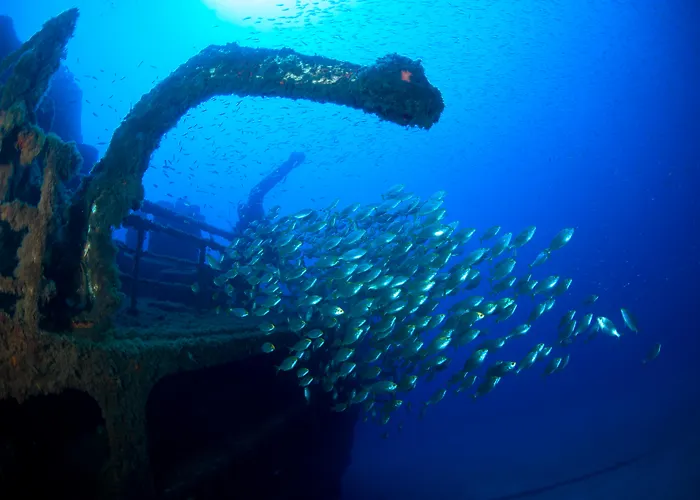 Baleira 4* Porto Santo